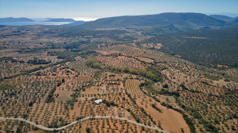Αγροτεμάχια 8.739 τ.μ. για πώληση, Αργολίδα, Ερμιόνη