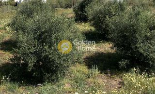 Οικόπεδο 10.721 τ.μ. για πώληση