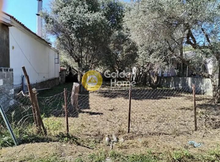 Αγροτεμάχια 226 τ.μ. πρός πώληση, Μαγνησία, Βόλος