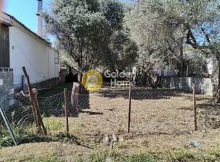 Αγροτεμάχια 226 τ.μ. για πώληση