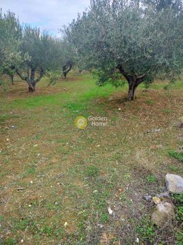 Parcel 1.500sqm for sale-Gazi » Agia Marina