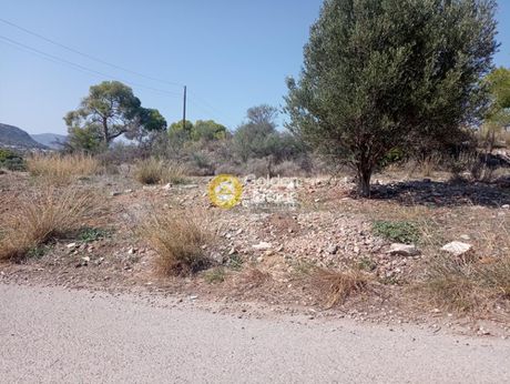 Οικόπεδο 270τ.μ. για πώληση-Αμπελάκια » Κέντρο