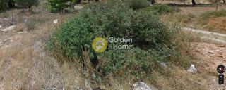 Αγροτεμάχια 281 τ.μ. για πώληση