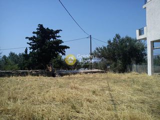 Οικόπεδο 608 τ.μ. για πώληση