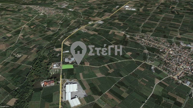 Αγροτεμάχια 12.845 τ.μ. προς πώληση, Επισκοπή Ανθεμιάς