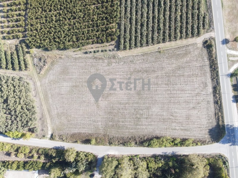 Αγροτεμάχια 12.845 τ.μ. προς πώληση, Επισκοπή Ανθεμιάς