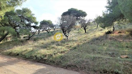 Parcel 7.618sqm for sale-Keratea » Dipseliza