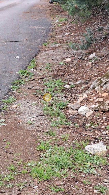 Οικόπεδο 901 τ.μ. πρός πώληση, Βοιωτία, Πλαταιές