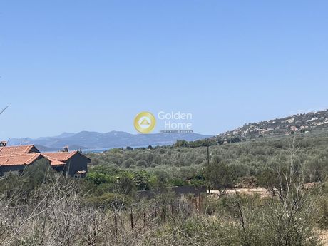 Land plot 1.025sqm for sale-Malesina » Theologos