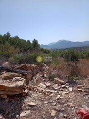 Οικόπεδο 14.000 τ.μ. για πώληση
