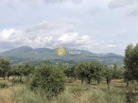Parcel 3.500sqm for sale-Ario » Center