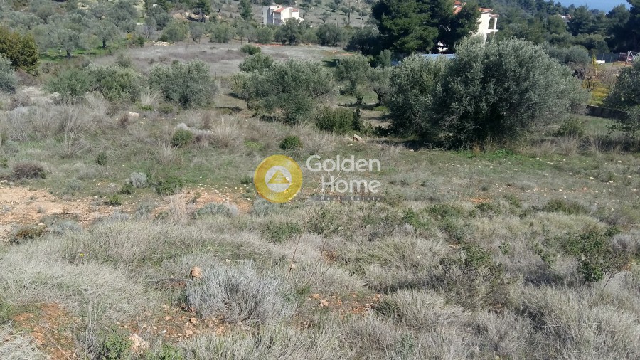 Οικόπεδο 5.125 τ.μ. πρός πώληση, Αττική - Υπόλοιπο, Κάλαμος