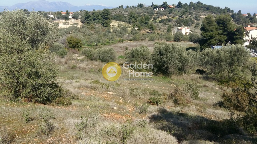 Οικόπεδο 5.125 τ.μ. πρός πώληση, Αττική - Υπόλοιπο, Κάλαμος
