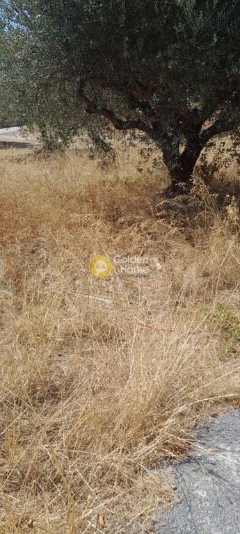 Οικόπεδο 245 τ.μ. προς πώληση, Φορτέτσα
