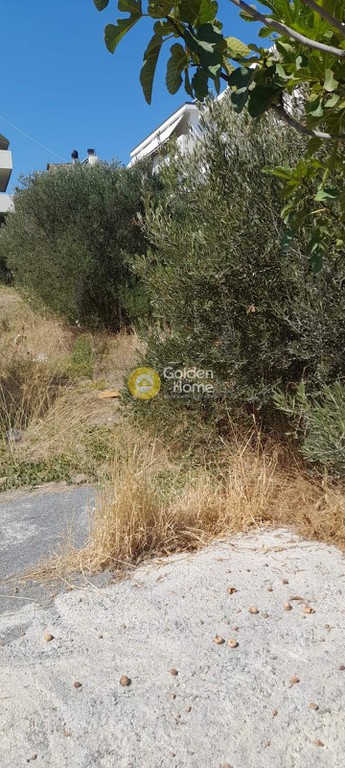 Οικόπεδο 245 τ.μ. προς πώληση, Φορτέτσα