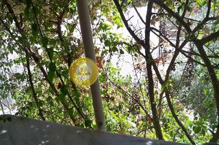Μεζονέτα 270 τ.μ. για πώληση