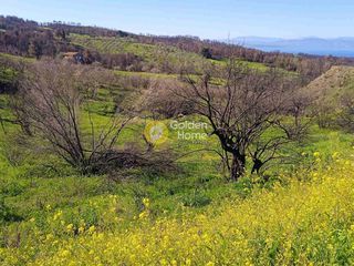Οικόπεδο 4.250 τ.μ. πρός πώληση, Εύβοια, Λίμνη-thumb-5