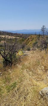 Land plot 4.250sqm for sale-Limni » Rovies