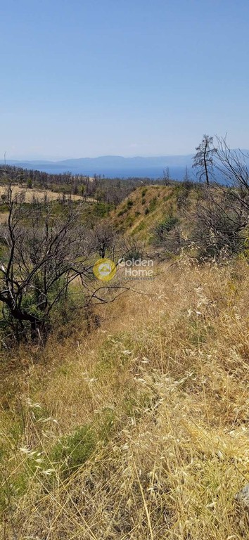 Οικόπεδο 4.250 τ.μ. πρός πώληση, Εύβοια, Λίμνη