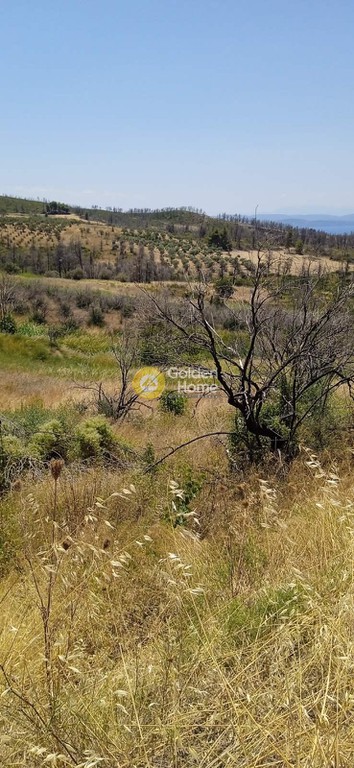 Οικόπεδο 4.250 τ.μ. πρός πώληση, Εύβοια, Λίμνη