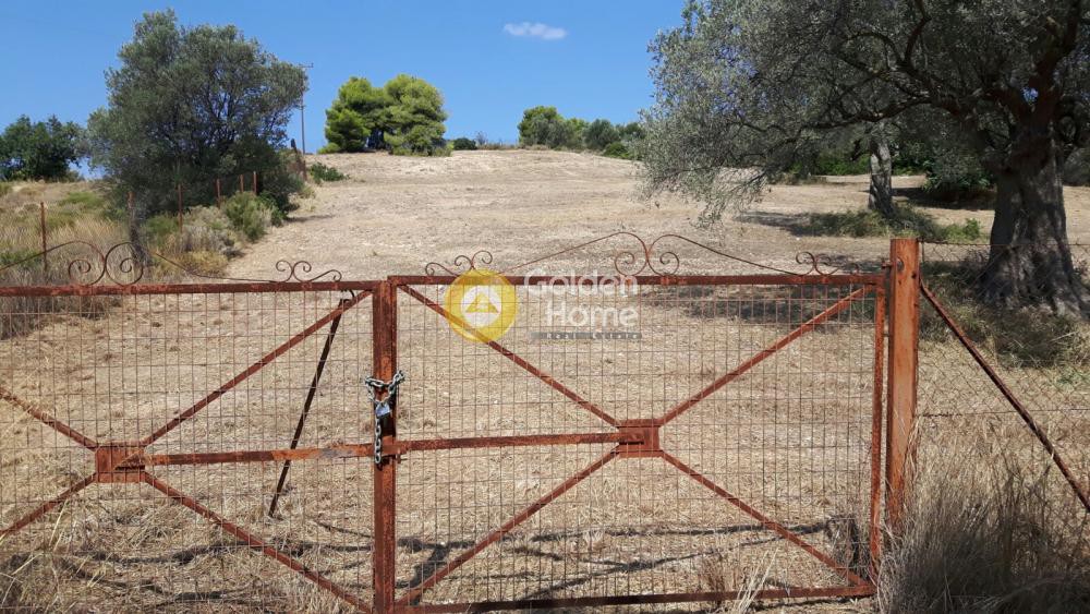 Οικόπεδο 4.000 τ.μ. πρός πώληση, Αργολίδα, Κρανίδι
