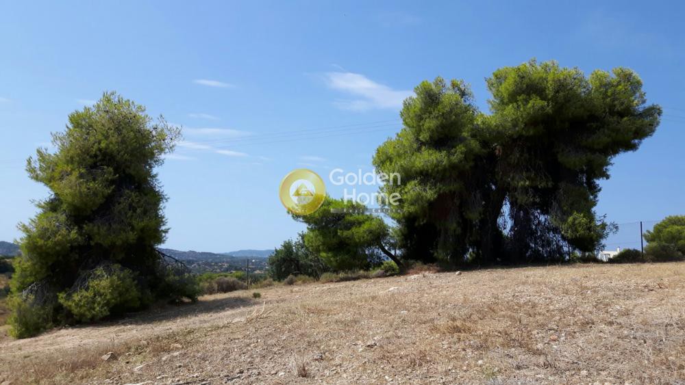 Οικόπεδο 4.000 τ.μ. πρός πώληση, Αργολίδα, Κρανίδι
