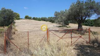 Οικόπεδο 4.000 τ.μ. πρός πώληση, Αργολίδα, Κρανίδι-thumb-1