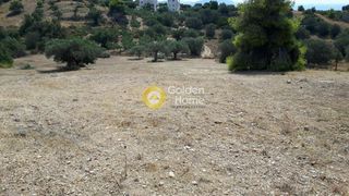 Οικόπεδο 4.000 τ.μ. πρός πώληση, Αργολίδα, Κρανίδι-thumb-7