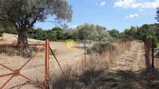 Οικόπεδο 4.000 τ.μ. πρός πώληση, Αργολίδα, Κρανίδι-thumb-5