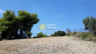 Οικόπεδο 4.000 τ.μ. πρός πώληση, Αργολίδα, Κρανίδι-thumb-4