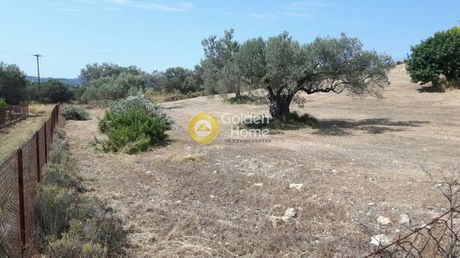 Οικόπεδο 4.000 τ.μ. για πώληση