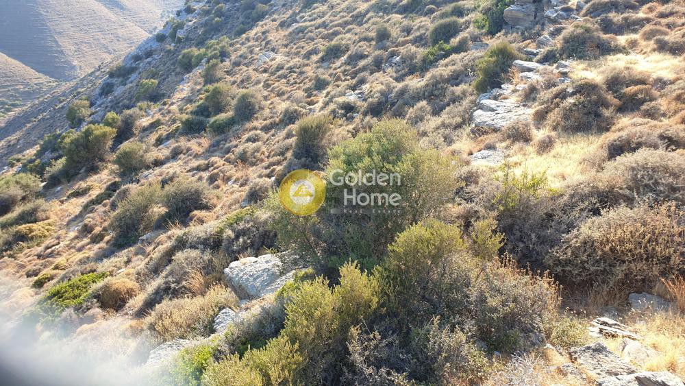 Αγροτεμάχια 4.287 τ.μ. προς πώληση, Καστριανή
