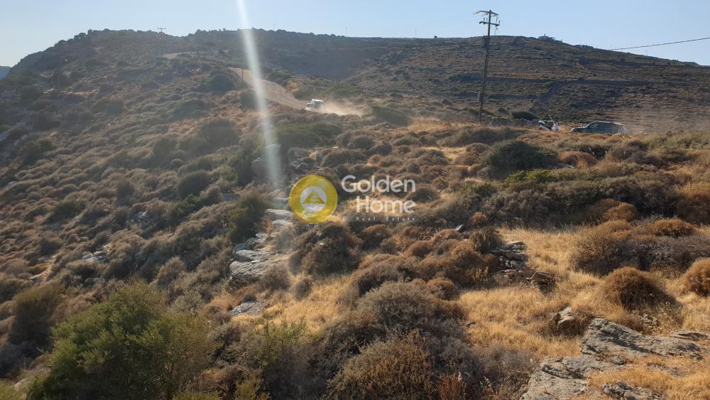Αγροτεμάχια 4.287 τ.μ. προς πώληση, Καστριανή