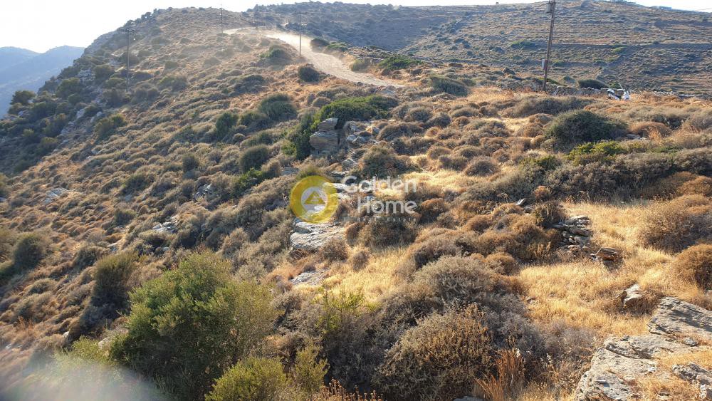 Αγροτεμάχια 4.287 τ.μ. προς πώληση, Καστριανή