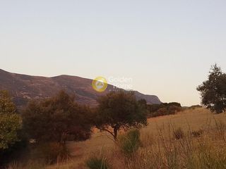 Οικόπεδο 519 τ.μ. για πώληση, Αχαΐα, Μεσσατίδα-thumb-2