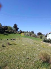 Οικόπεδο 519 τ.μ. για πώληση, Αχαΐα, Μεσσατίδα-thumb-1
