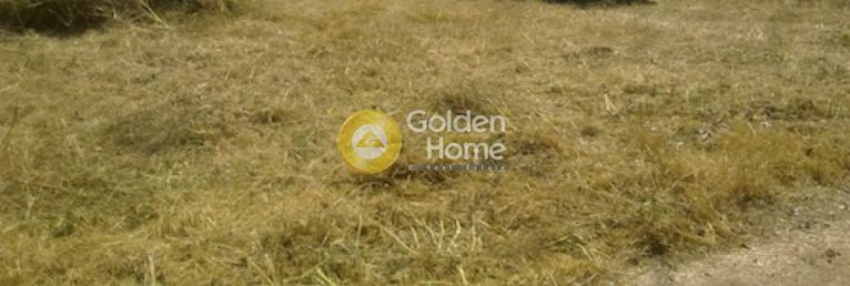 Land plot 6.700 sqm for sale, Achaia, Aigio