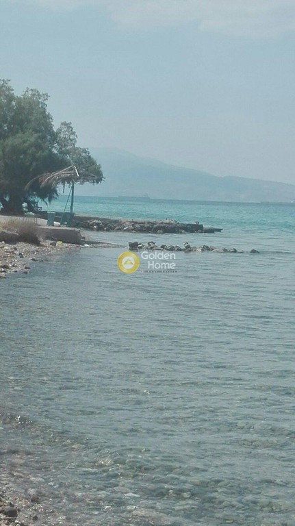 Οικόπεδο 260 τ.μ. προς πώληση, Αιάντειο