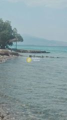 Οικόπεδο 260 τ.μ. για πώληση