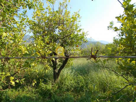 Οικόπεδο 2.850 τ.μ. για πώληση