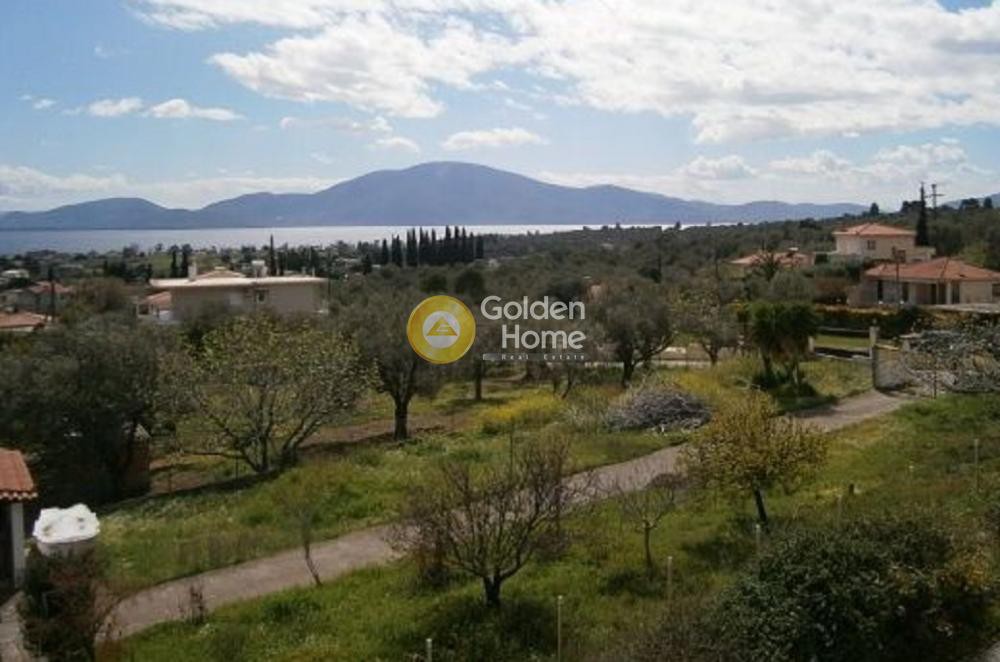 Μεζονέτα 120 τ.μ. προς πώληση, Πολιτικά