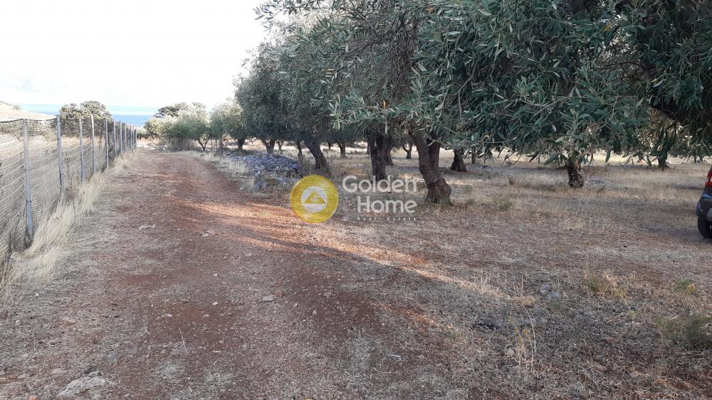 Αγροτεμάχια 2.540 τ.μ. προς πώληση, Τριταία Ιτέας