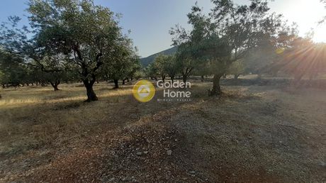 Parcel 2.540sqm for sale-Itea » Tritaia