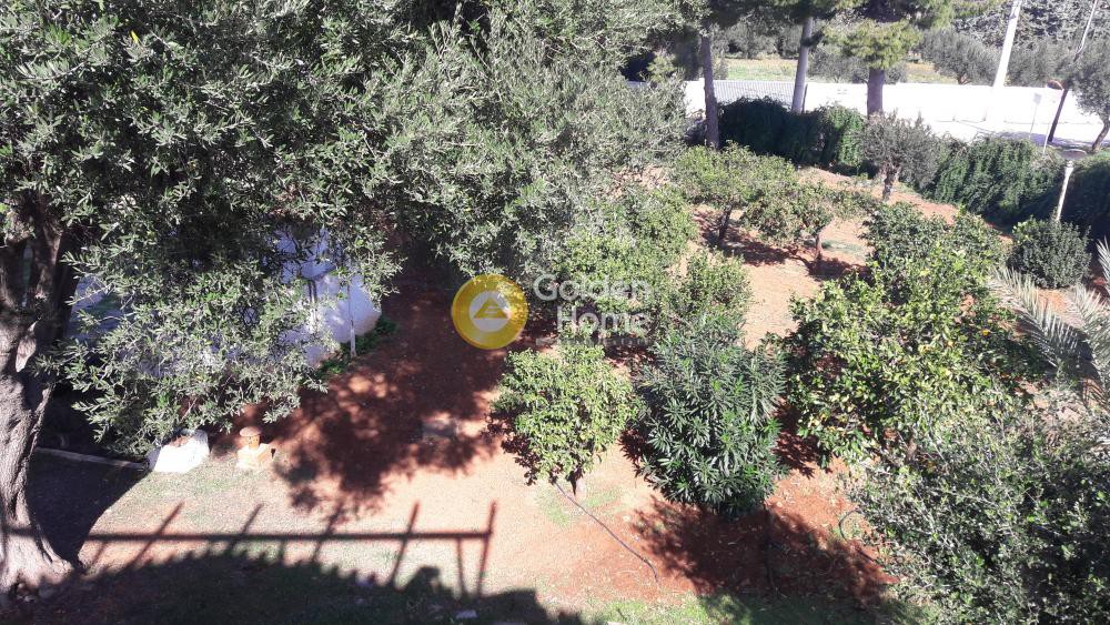 Μονοκατοικία 175 τ.μ. προς πώληση, Κέντρο Κορωπίου
