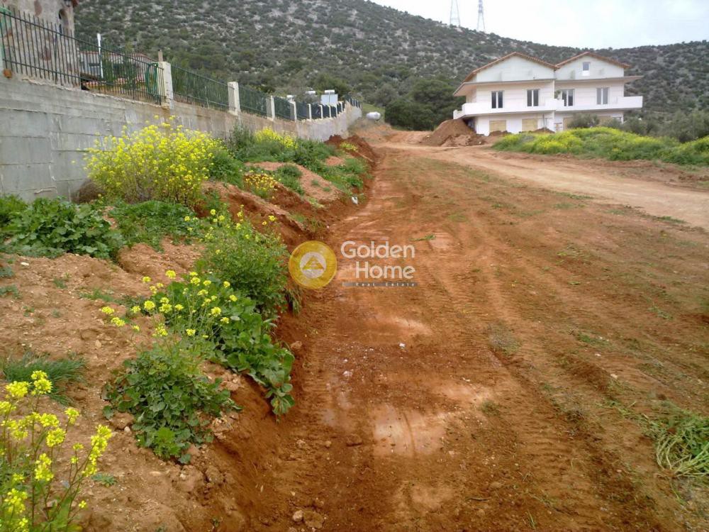 Μονοκατοικία 600 τ.μ. προς πώληση, Σκάρπιζα
