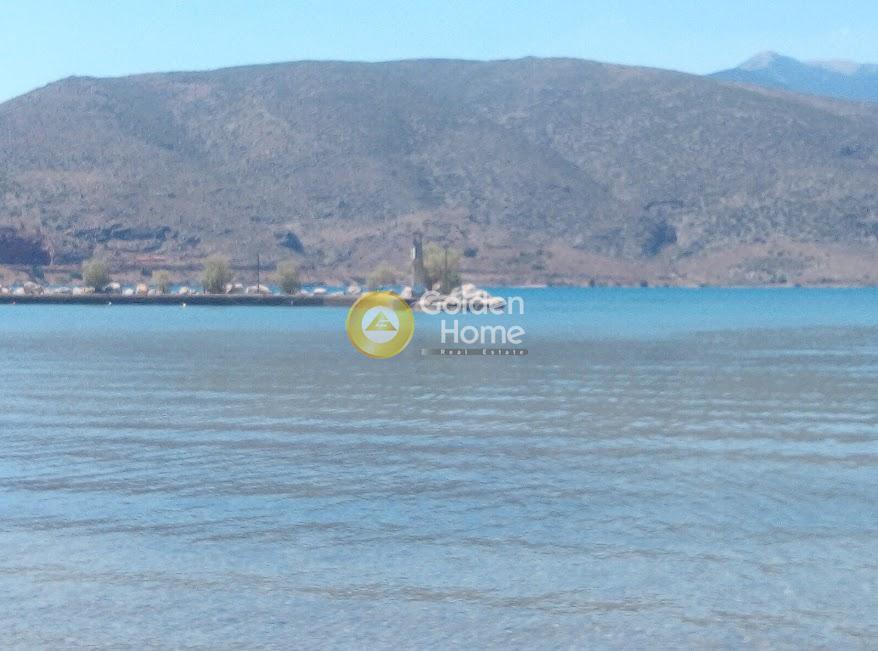 Αγροτεμάχια 4.000 τ.μ. προς πώληση, Χρισσό