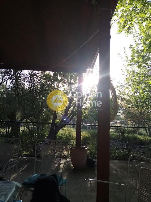 Αγροτεμάχια 4.000 τ.μ. προς πώληση, Χρισσό