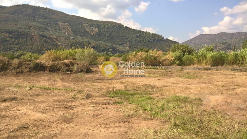 Αγροτεμάχια 5.904 τ.μ. προς πώληση, Κουλούρα Αιγίου