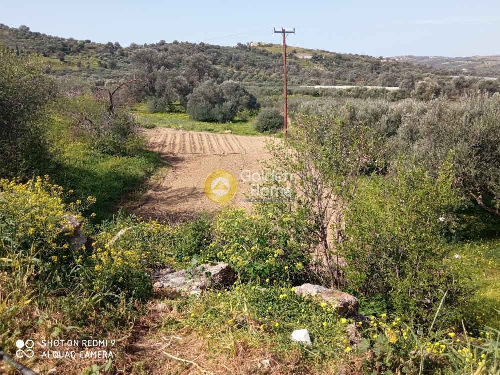 Αγροτεμάχια 2.856 τ.μ. προς πώληση, Κουσές