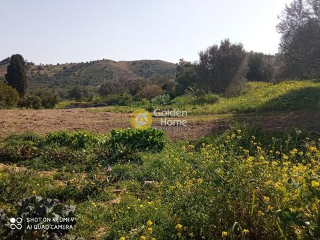 Αγροτεμάχια 2.856 τ.μ. για πώληση